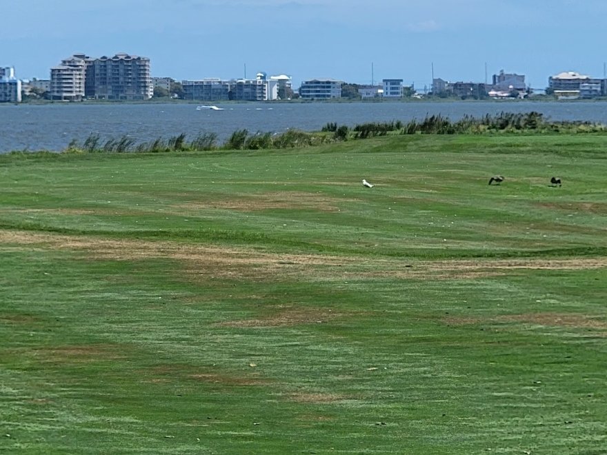 Links At Lighthouse Sound