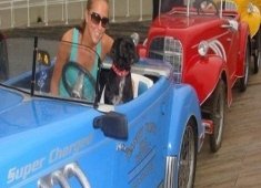 Dandy Don's Bike Rentals & Service